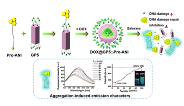 5cee327059aa49cea58221ad9189fe51.jpg 3_副本.jpg