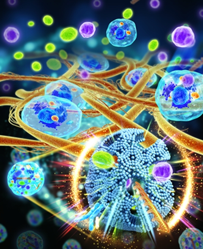 3eff2d7510a945f9a87c667f7a57bdcd.jpg 原图_副本_副本_副本_副本.jpg